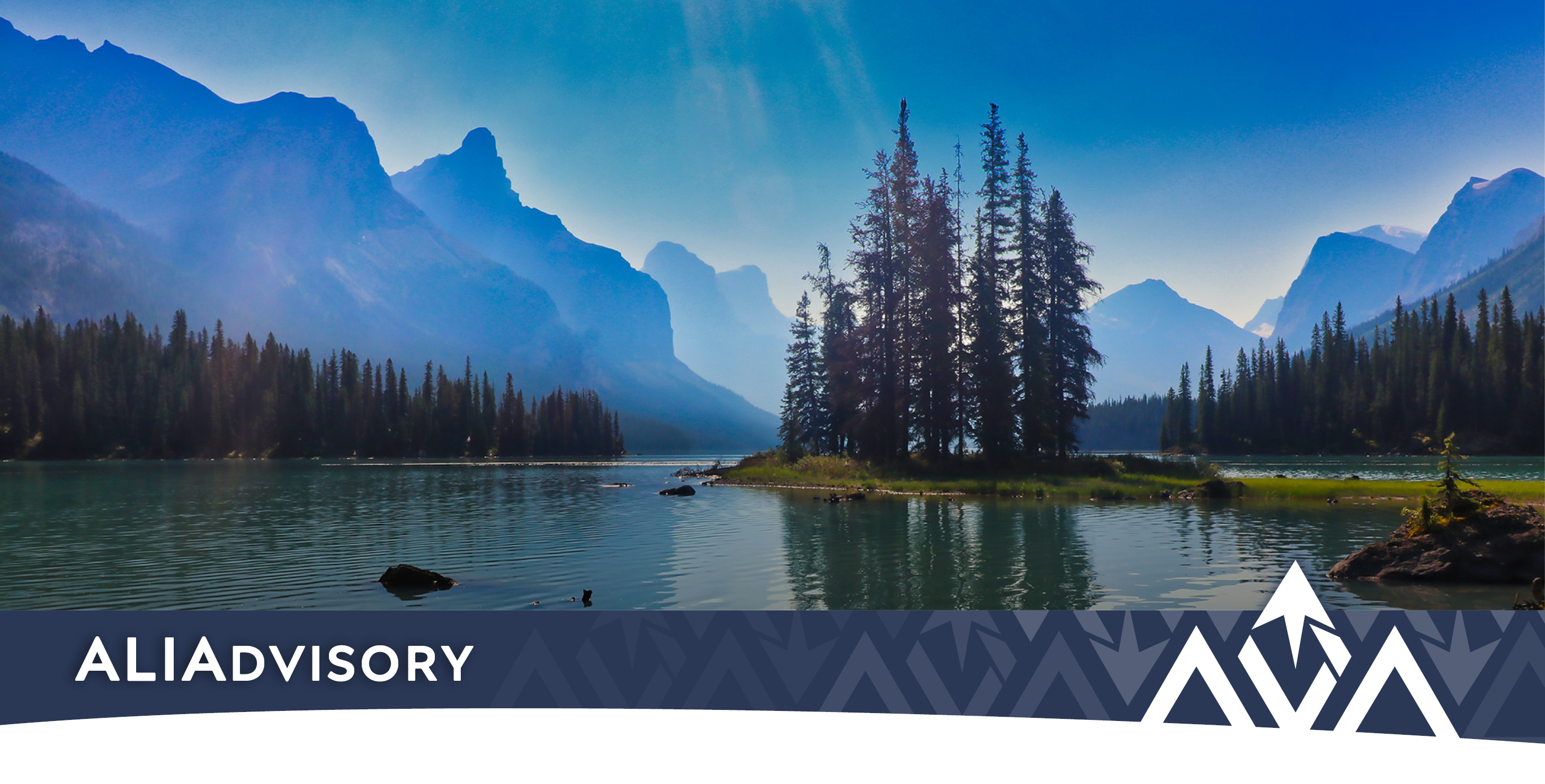 ALIA newsletter levy announcement for 2024-2025 policy year